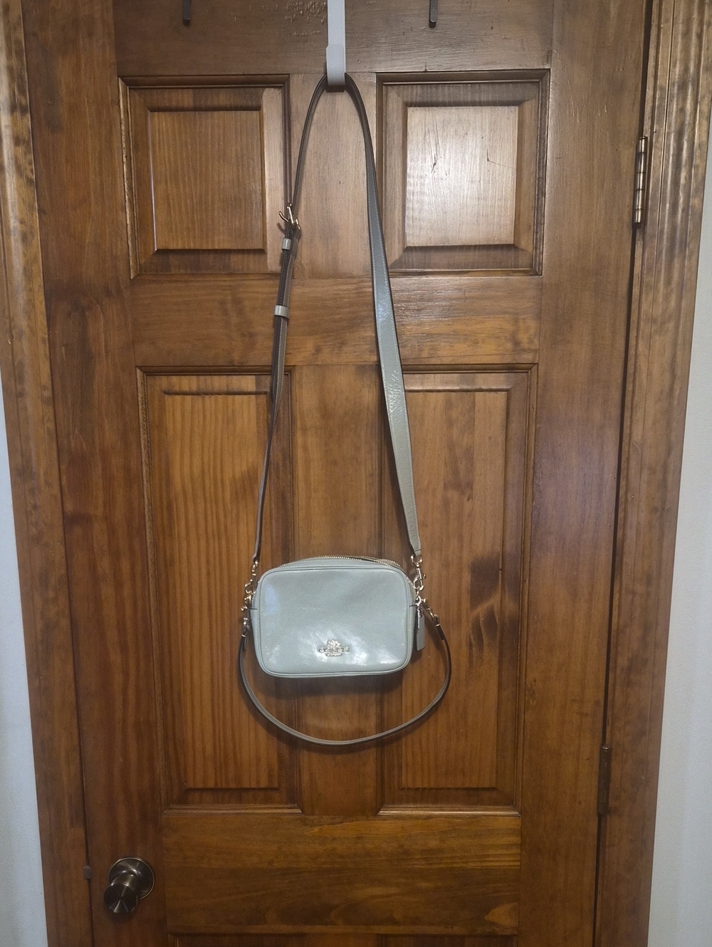 Small Leather Crossbody Bag in Light Green - Classic Women's Shoulder Bag